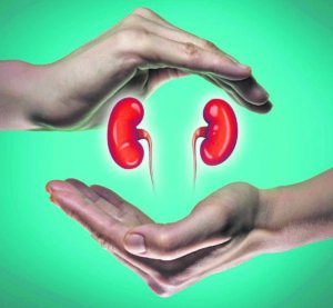 Healthy kidneys are vital