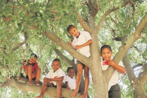 Branching out