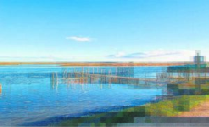 Ramsar-eer vir riviermonding