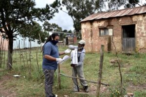 Greyton food outreach