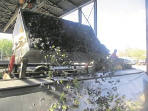 Parsseisoen reeds in volle swang