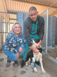Skaaphond wat in bibberweer verdwyn ná vier dae gevind