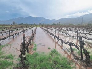 Province assesses total flood-damage cost