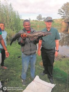 Seemeeus-hengelaars trek die grotes uit