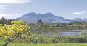 CAPTURING A VERDANT SETTING FOR POSTERITY