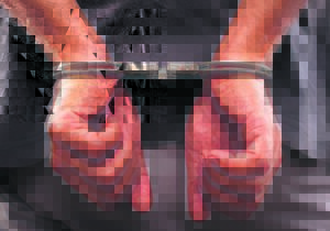 3 x lewenslank