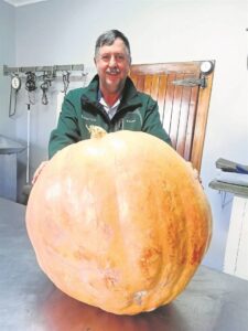 Goliat van 49,9 kg