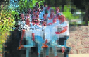 kankerlyers kleurvol ondersteun