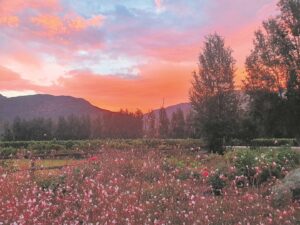 Montagu ’n mooiste dorp