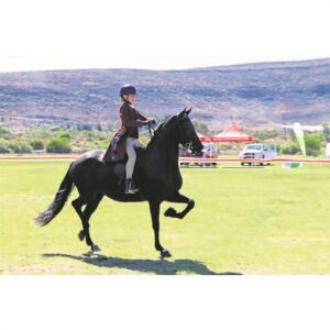 HS Porterville se ruiters presteer puik