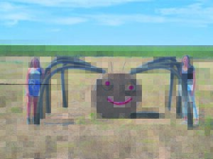 G’n arachnofobie hier