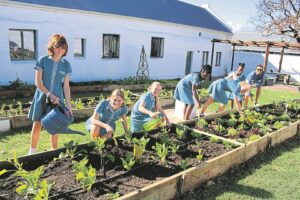 Cultivating leadership
