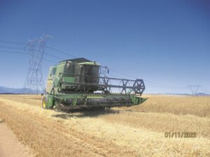 Graanprodusente oes al