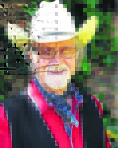 kom koer saam met tommy dell