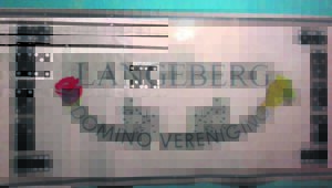 domino’s trek laer
