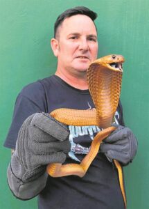 Slangseisoen is nie tyd vir speletjies