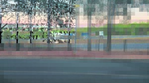 Vragmotorbotsing eis bestuurder