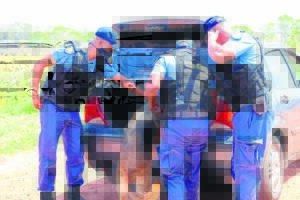 Dié ‘polisiemanne’ ruik jou vinnig uit