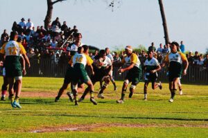 Darling pronk teen Mamre