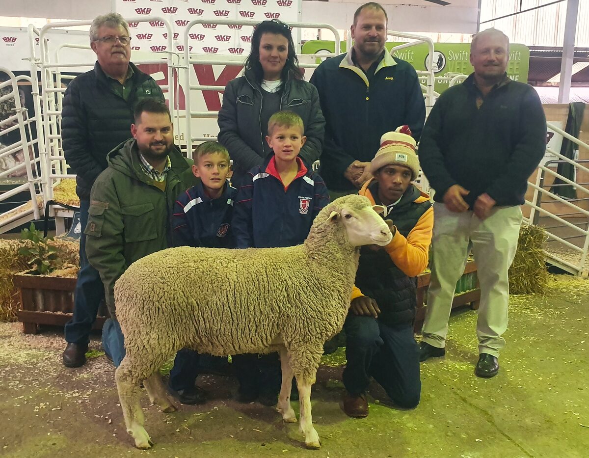 Duurste ram op veiling vir meer as R80 000 verkoop