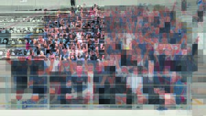 Bellville wen MTBS-atletiek