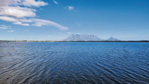 Rietvlei faces new contamination crisis with E. coli levels far above safety limits