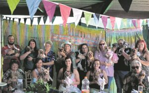 Honde hou partytjie in Brackenfell