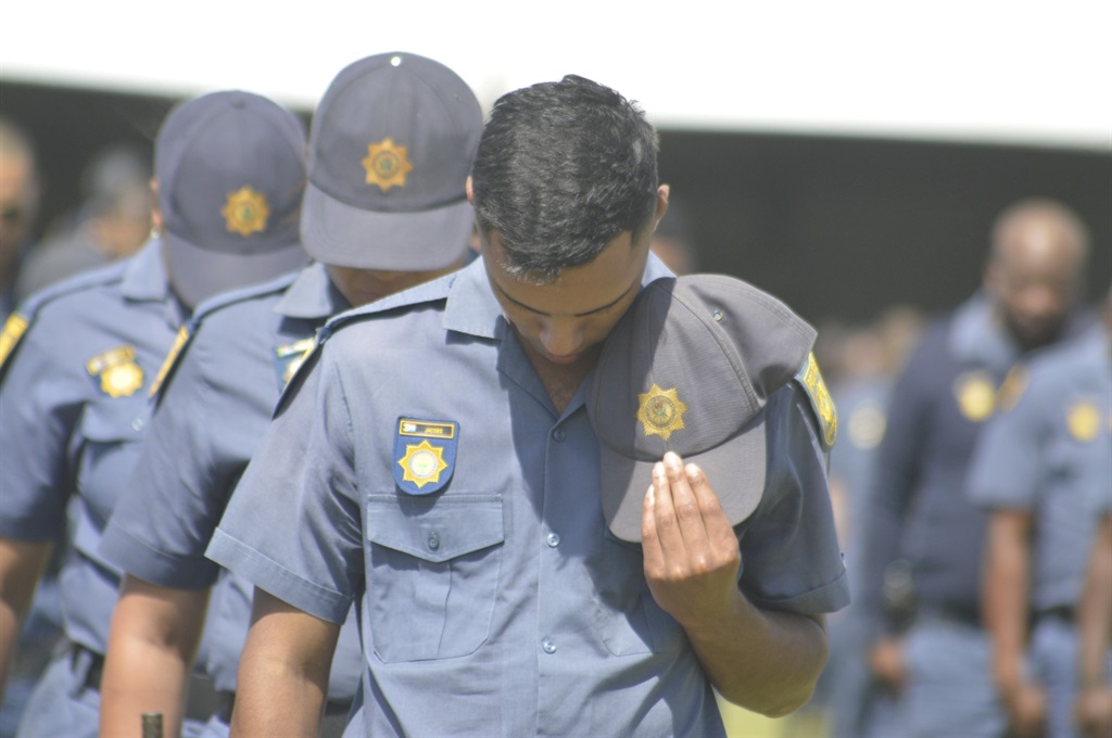 Festive season launch