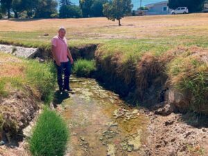 Tussen die duiwel en die diep blou kanaalwater: Klagtes oor Bellville-kanaal ‘lei na niks’