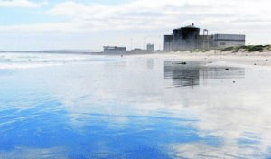 More load shedding to be expected as Unit 1 at Koeberg Nuclear Power Station remain offline