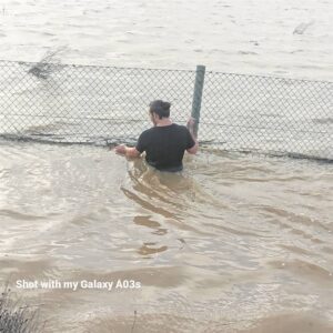 Cape Town floods: Snakes, lizards and chameleons rescued amid heavy rains in  Table View