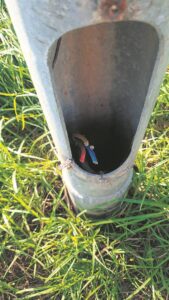 Richwood Neighbourhood Watch hunts elusive cable thief