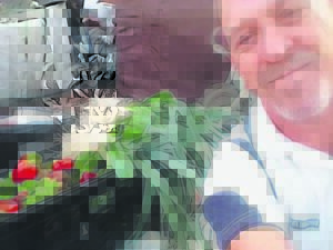 Lions continue labour of love