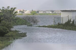 Rietvlei open again after recent floods in Cape Town forced temporary closure