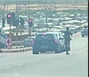 SPCA to set up ‘sting’ operation to hunt down man selling puppies at busy intersections in Dunoon