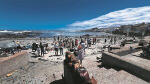 Decaying kelp on Cape Town beaches sparks debate over cleanup policy