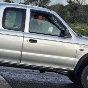 Animal cruelty charges laid against man who abandoned dog in Cape Town