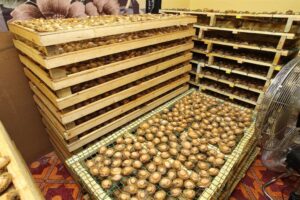 Three arrested for illegal abalone in Goodwood