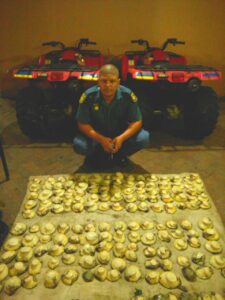 Six in court for illegal abalone