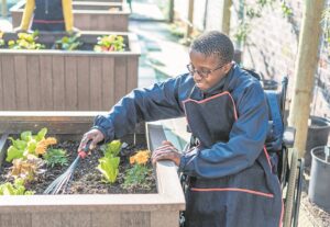Paarl school launches solar project that will transform learning for disabled children