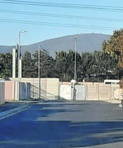 Fresh team at Greens