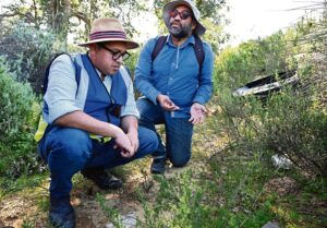 City intensifies efforts to clean Diep River and Milnerton Lagoon pollution