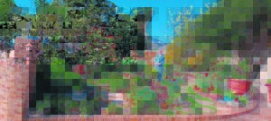 Senior bou self tuin