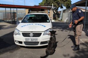 New K9 cops wow media