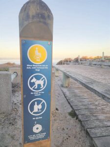 Debate sparks over beach policies for four-legged friends