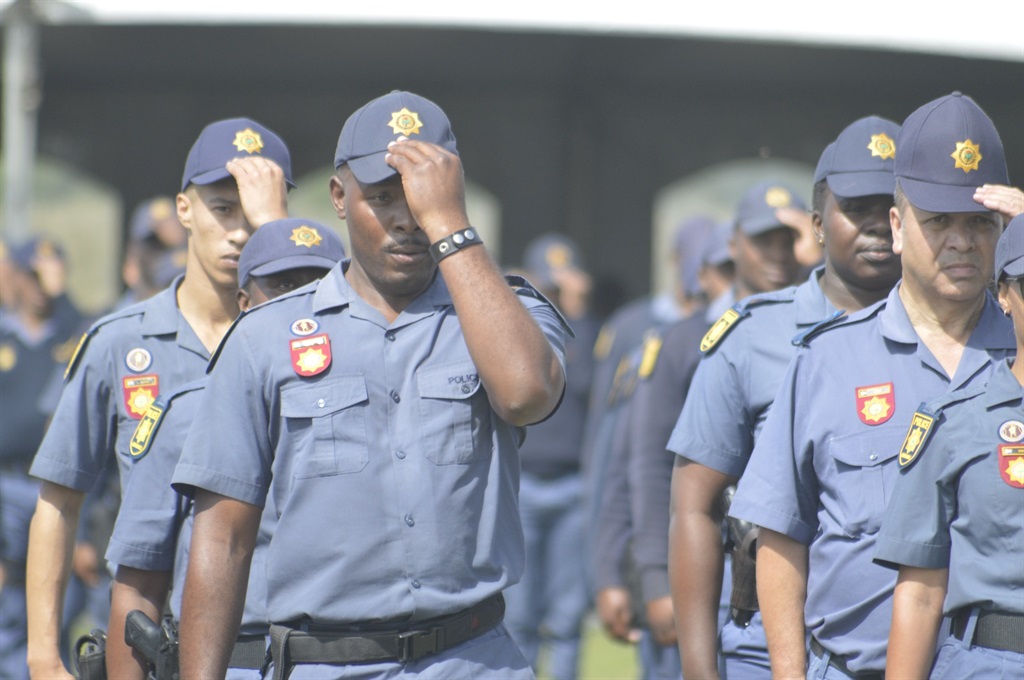 Festive season launch