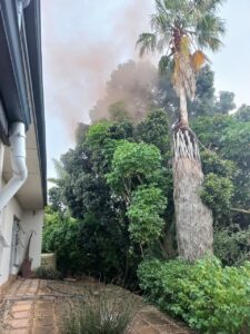 Krag af en duisende rande se skade toe weerlig vermoedelik boom in Durbanville tref