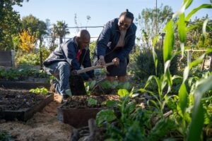 Brackenfell residents transform barren land into thriving food garden and urban forest