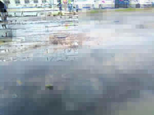 Inwoners van Hockenheim sê hulle woon in ‘k*k-straat’