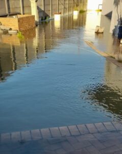 Erwe in Bellville deur rioolwater oorstroom